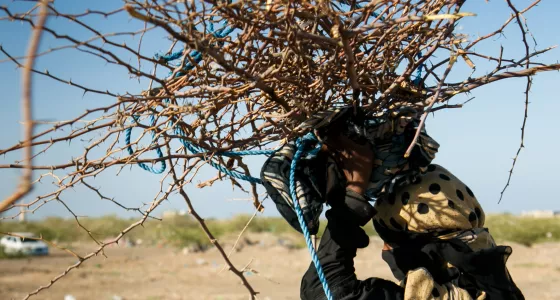 Jala, 27 years old, carries wood she collected for cooking in Yemen.